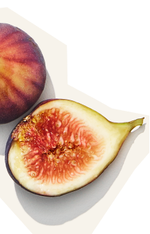 fig-left