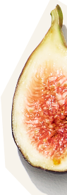 fig-right