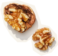 nuts