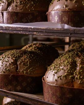 Rows of chocolate-glazed panettone topped with green sprinkles on baking racks.
