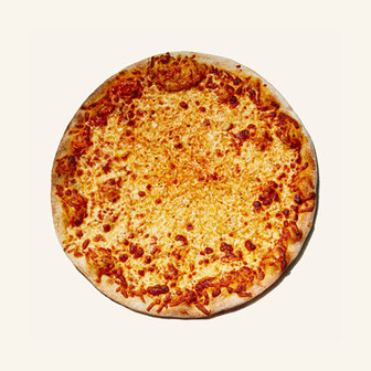 Classic double cheese pizza with a golden, bubbly cheese topping.