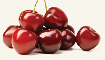 Fresh red sweet cherries clustered together on a white background, ripe stone fruit for summer harvest
