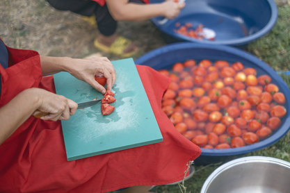 Hands chopping fresh tomatoes on cutting board, outdoor food prep with bowls of washed tomatoes, cooking ingredients close-up.