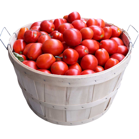 Bushel basket filled with ripe red Roma tomatoes, fresh garden produce for cooking, canning, and healthy recipes.