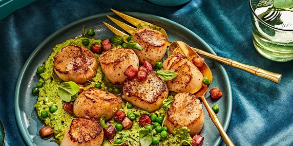 SCALLOPS WITH PANCETTA AND GREEN PEA PUR&Eacute;E