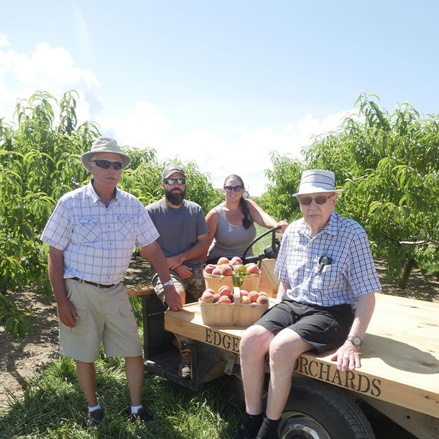 Group of people in a peach orchard with baskets of freshly picked peaches on a wooden wagon.