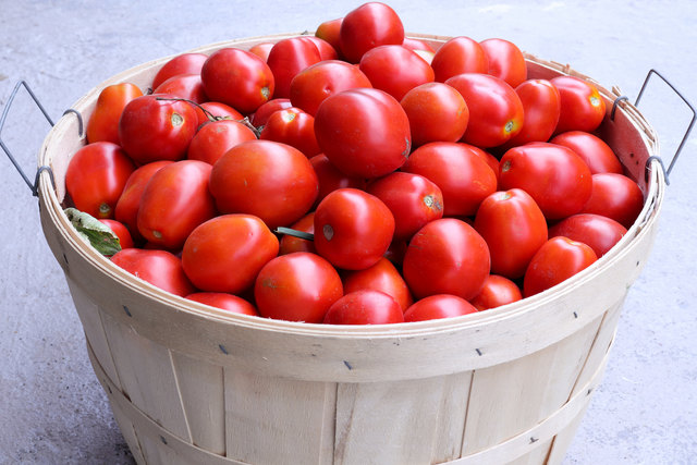 Basket of fresh red Roma tomatoes piled in a wooden bushel, farm harvest produce, ripe tomatoes close-up.