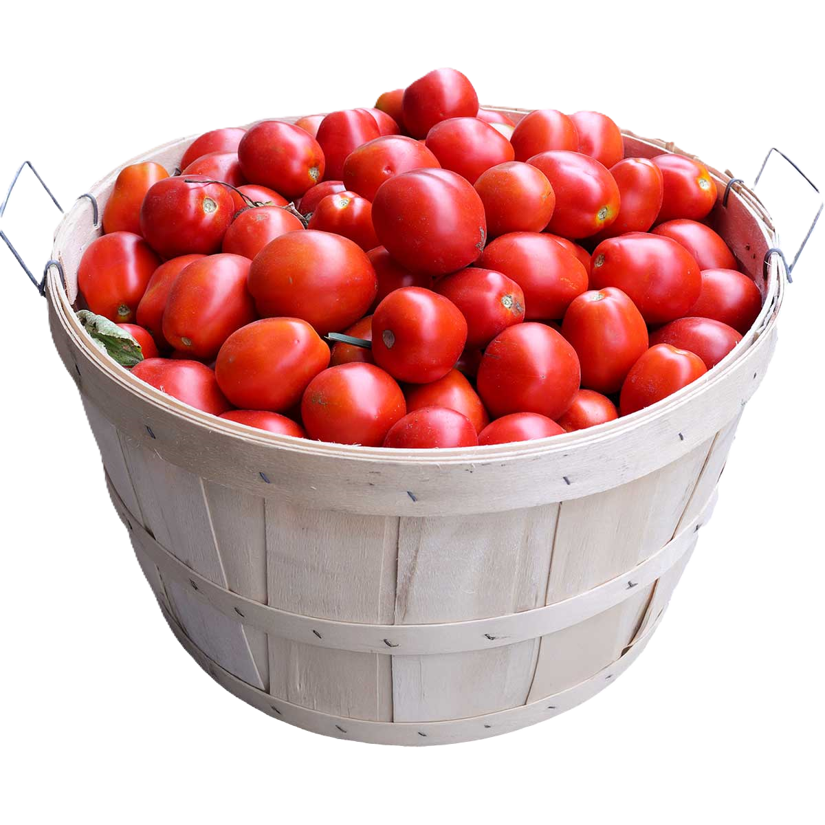 Bushel basket filled with ripe red Roma tomatoes, fresh garden produce for cooking, canning, and healthy recipes.